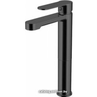 Смеситель Aquanet Passion AF300-11B