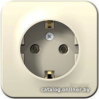 Розетка Schneider Electric Blanca BLNRA010112