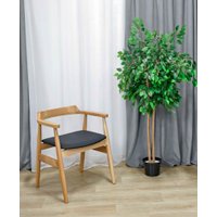 Стул с подлокотниками Sheffilton SHT-S204 (черный/прозрачный лак)