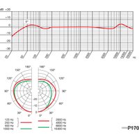 Проводной микрофон AKG P170 (черный)