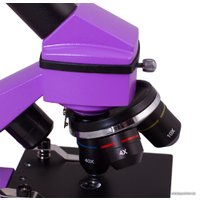 Детский микроскоп Levenhuk Rainbow 2L Plus (аметист) 69042