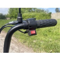 Электроскутер AVM Delta Lite (зеленый)