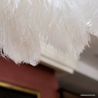 Подвесная люстра L'Arte Luce Feather lamp L03408.02