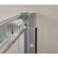 Душевая дверь Omnires Bronx S2050 120