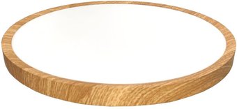 Светильник-тарелка Leek LE061209-035