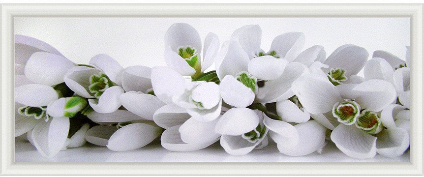 Картина Декарт Белые цветы крокусы 8Л0554