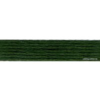 Нитки для вышивания Anchor 4635-0862 8 м (темно-зеленый)