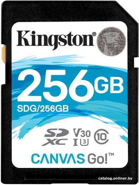 Карта памяти Kingston Canvas Go! SDXC 256GB SDG/256GB