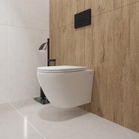 Унитаз подвесной Lauter Vortex 2110830VP