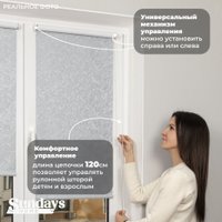 Рулонные шторы Sundays Home LM 97-08 38х160 (светло-серый)