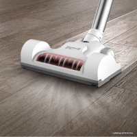 Пылесос Evolution DX600S