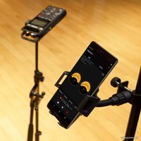 Диктофон Sony PCM-D10