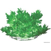 Набор для опытов Lori Лучистые кристаллы. Зеленый кристалл Лк-003