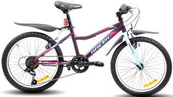 Детский велосипед Racer Turbo girl 20 2020 (фиолетовый)