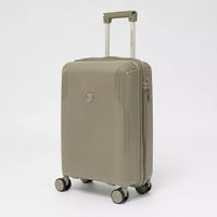 Чемодан-спиннер Francesco Molinary 344-8038/2-20GGN (серый/зеленый)