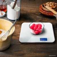 Кухонные весы CASO LX 20