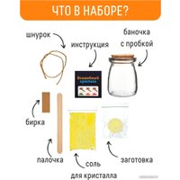 Набор для опытов Bumbaram Кристалл с пожеланием Процветания k6