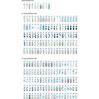 Компьютерная швейная машина Minerva Decor Professional