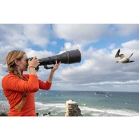 Объектив Nikon NIKKOR Z 800mm f/6.3 VR S