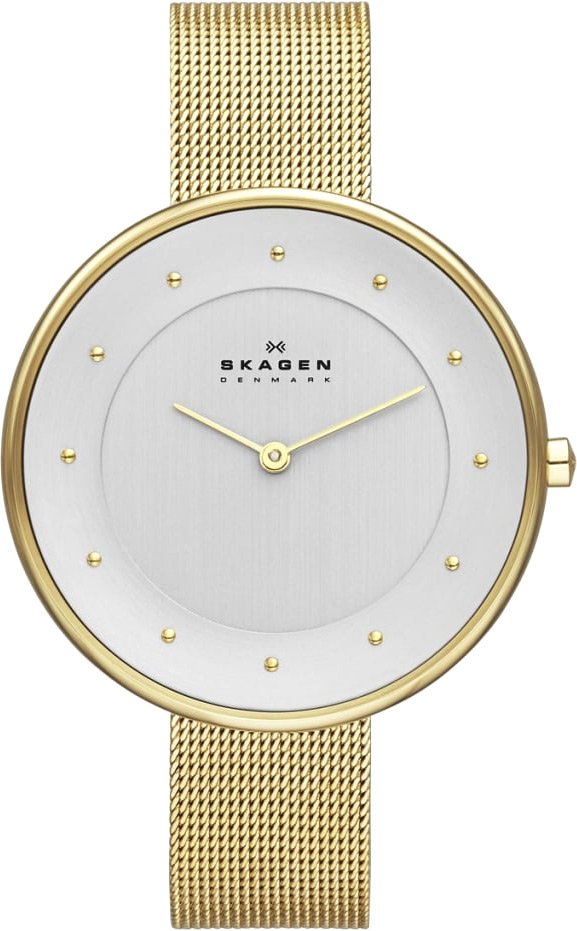 

Наручные часы Skagen SKW2141