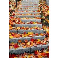 Набор для создания поделок/игрушек Darvish Осенняя лестница DV-15479-4 в Борисове