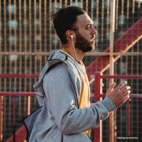 Наушники Hoco ES62 (черный)