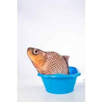 Классическая игрушка Fancy Рыба RUB1