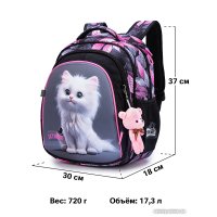 Школьный рюкзак SkyName R2-216 + брелок мишка