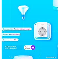 Умная розетка TP-Link Tapo P100