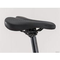 Велосипед Trek FX 2 Disc Women's Stagger L 2020 (серебристый)