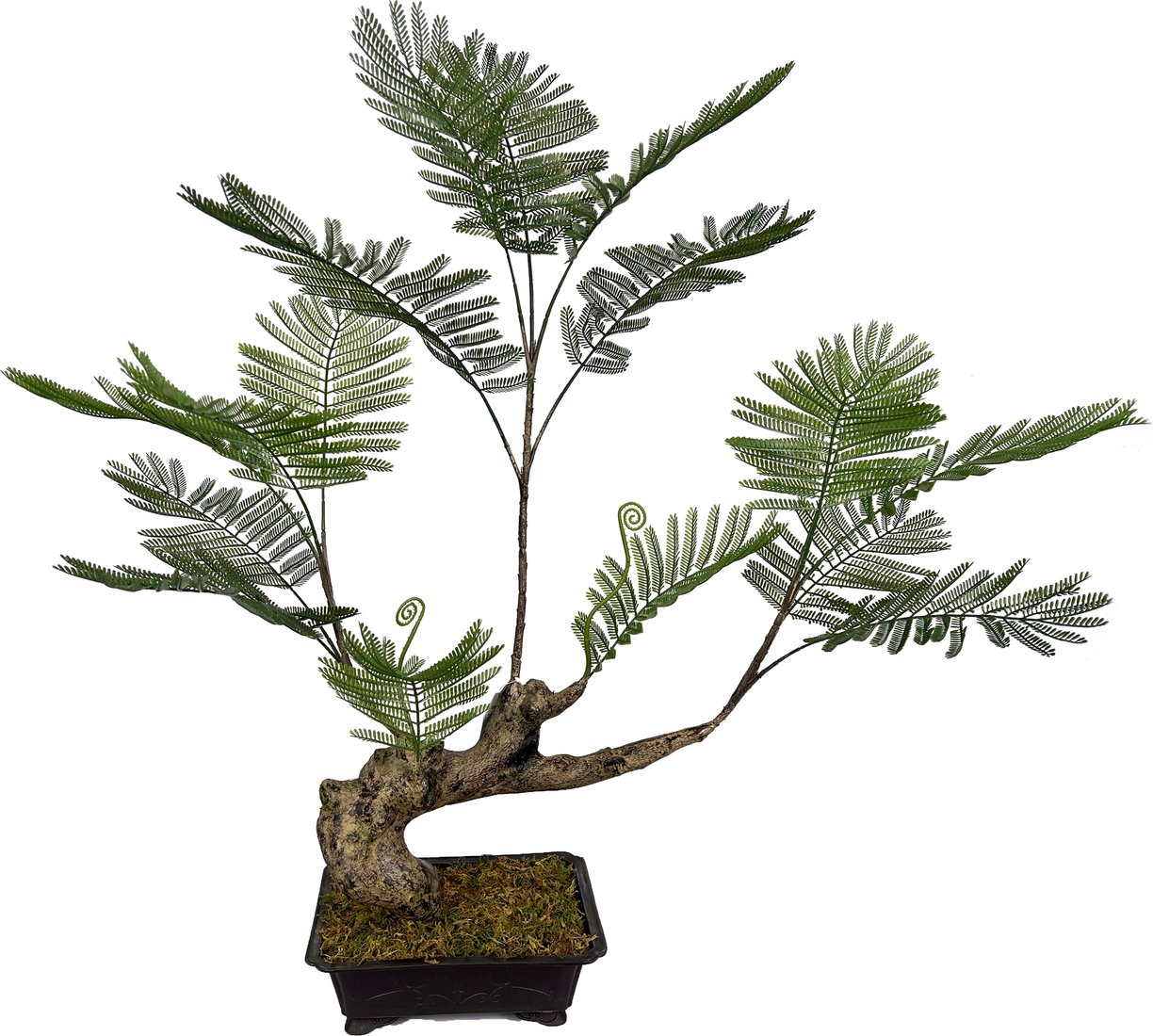 

Искусственное растение Merry Bear Home Decor Жакаранда Мимозолистная AY909095