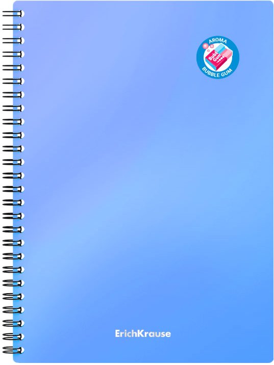 

Общая тетрадь Erich Krause Bubble Gum 58343 (80 л, голубой)