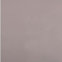 Рулонные шторы АС ФОРОС Плейн 7502 78x175 (светло-серый)