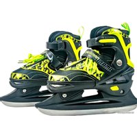 Коньки Caraman D206-PN-L (р. 38-41)