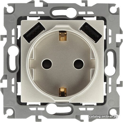 Розетка USB ЭРА 12-4109-04 Б0047843 (шампань)