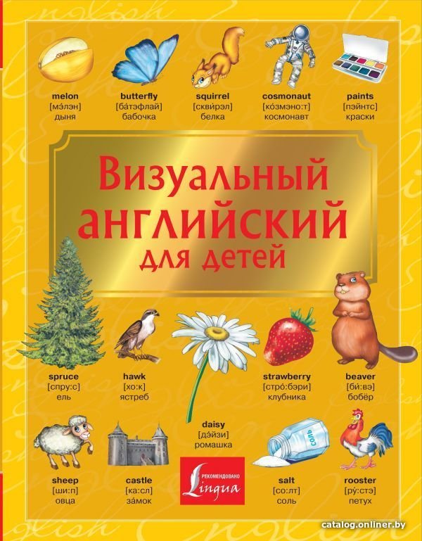 АСТ. Визуальный английский для детей (Державина Виктория Александровна/Френк Ирина)