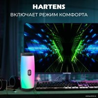 Игровой монитор Hartens HTM24Z165 в Борисове