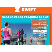 Электрическая беговая дорожка Titanium Masters Slimtech C10 (коричневый)