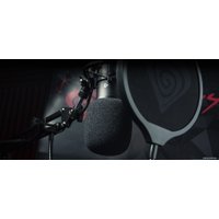 Проводной микрофон Genesis Radium 300 XLR