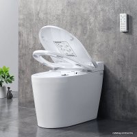 Унитаз приставной Brunnen WAL BW-2402