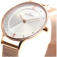 Наручные часы Skagen SKW2151