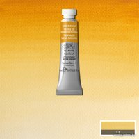 Акварельные краски Winsor & Newton Professional №552 102552 (5 мл, сиена натуральная)