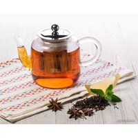 Заварочный чайник Taller Тайрон TR-31371