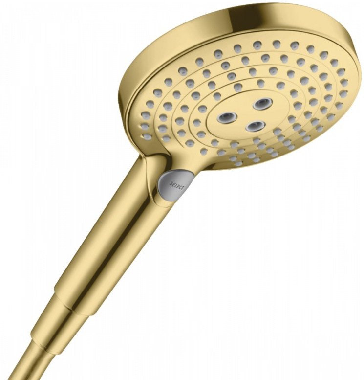

Душевая лейка Hansgrohe Raindance Select S 120 26530990