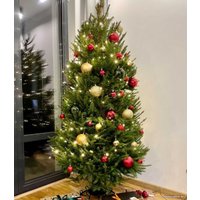 Ель HD Nordic Trees Abies Датская (1.5-1.7 м, срезанная)