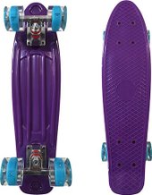 Penny Board 21