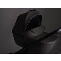 Универсальная коляска Anex E/type 2022 (2 в 1, gothic et-03A)