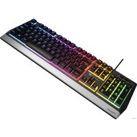 Клавиатура Genesis Rhod 300 RGB
