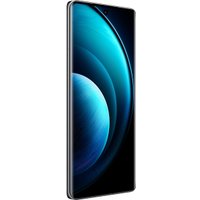 Телефон Vivo X100 16GB/512GB международная версия (черный астероид)