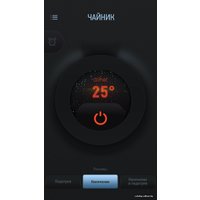 Электрический чайник Redmond (Редмонд) SkyKettle RK-M171S